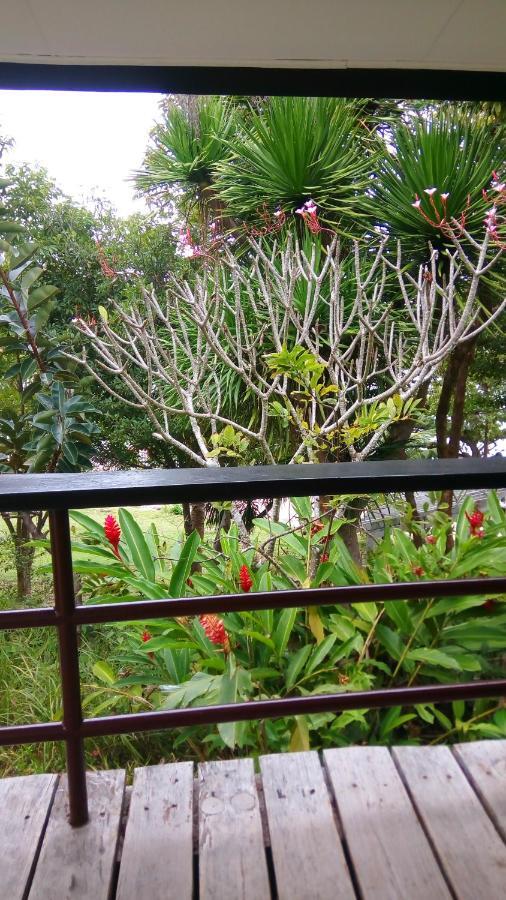 Mangrove Oriental Bed & Breakfast Resort Logon Exterior photo